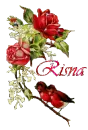 Risna