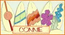 Surf boards - Connie