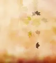 Autumn Background