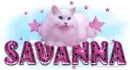 Savanna-Pink dots cat