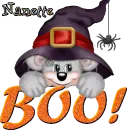 nanette