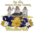 The Very Reason- Shakela