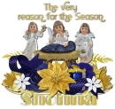 The Very Reason- Shonna