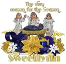 The Very Reason- Sweetlynn