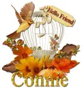 Autumn Bird- connie