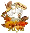 Autumn Bird- Jaya