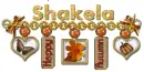 Happy Autumn Bracelet- Shakela