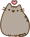 Cute Kitty