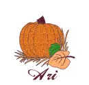 Autumn Pumpkin - Ari