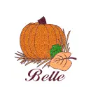 Autumn pumpkin - Belle