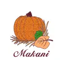 Autumn Pumpkin - Makani
