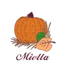 Autumn Pumpkin - Mietta
