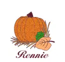 Autumn Pumpkin - Rennie