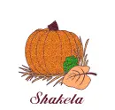 Autumn Pumpkin - Shakela