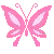 butterfly......