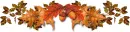 Fall