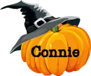 Pumpkin- Connie