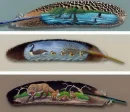Painted Feathers
