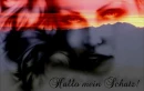 mein schatz