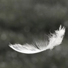 Falling...