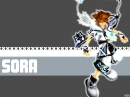 Kingdom Hearts 2 