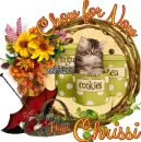 Chrissi