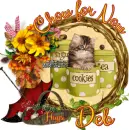Deb