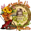 Nanette