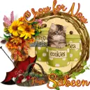 Sabeen