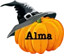 Pumpkin- Alma