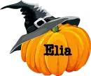 Pumpkin- Elia