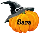 Pumpkin- Sara