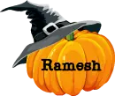 Pumpkin- Ramesh