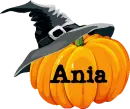 Pumpkin- Ania