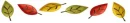 Divider - Fall Leaves - Gold n Red