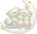 moon bears