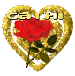 Cathi