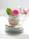 Cups  and roses