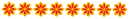 Dividir - orange flowers -