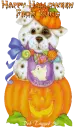 Happy Halloween Kung -  kungzaab 