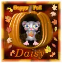 Daisy