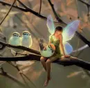 fairy