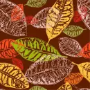 Fall leaves on brown background 