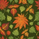 Fall leaves on green background