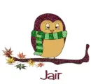 Autumn boy owl - Jair for Anna