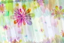 fairy