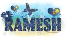 Ramesh-Denim love