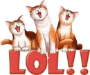 LOL