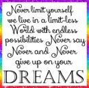 Never Say Never
