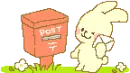 Cute Animal